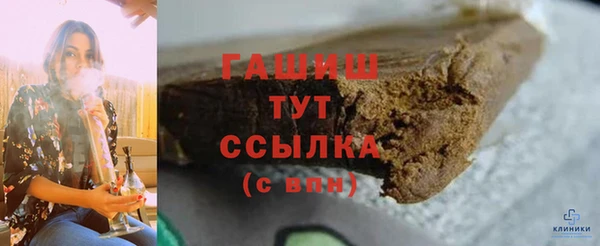 индика Богородск