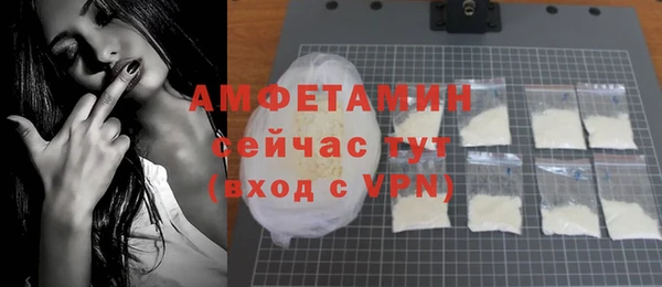 индика Богородск