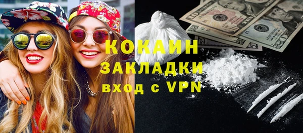 шишки Беломорск