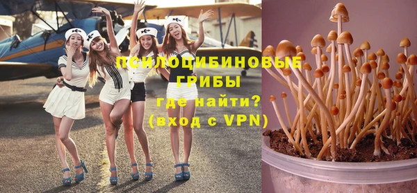 индика Богородск