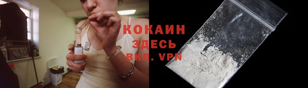 индика Богородск