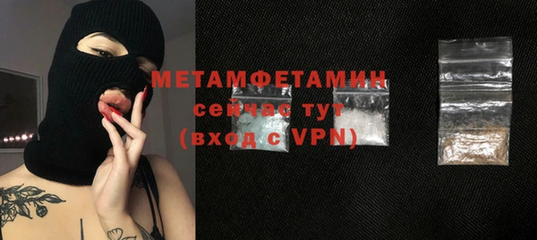 шишки Беломорск