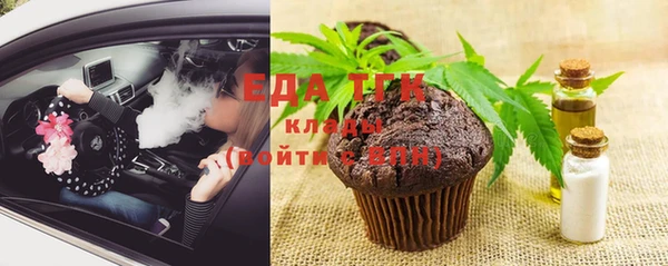 индика Богородск