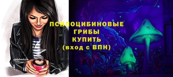 гашик Протвино