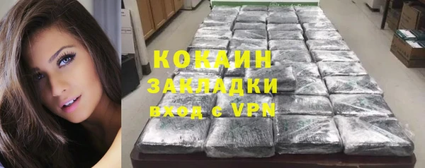 шишки Беломорск