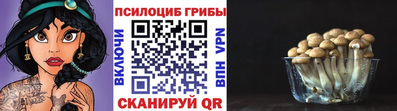 цены наркотик Мыски Галлюциногенные грибы Magic Shrooms